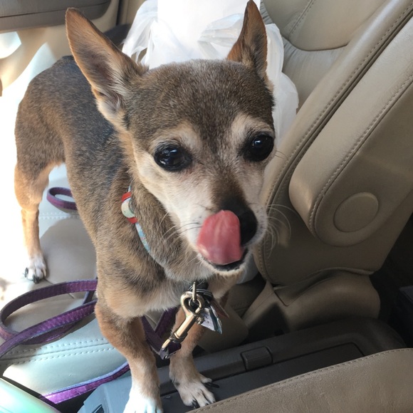 Meet your Posher, Rachel - Picture 2 of 9